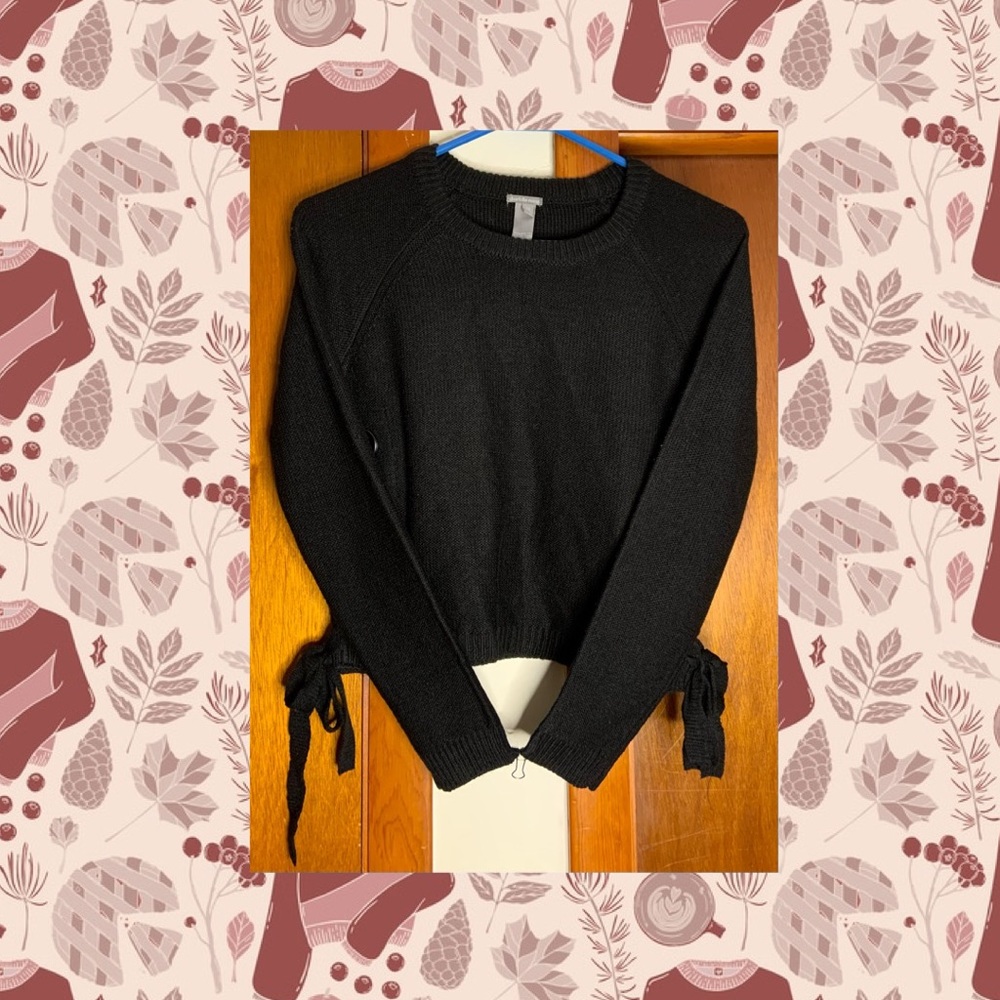 Charlotte Russe Crop Top Sweater